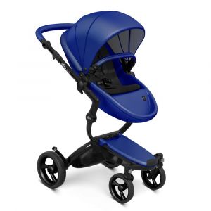 Royal Blue / Black