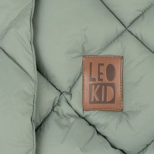Логотип компании Leo Kid