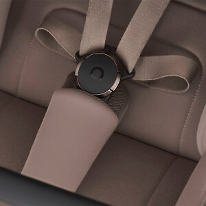 Для надежной фиксации ребенка 5-ти точечные ремни с магнитным замком