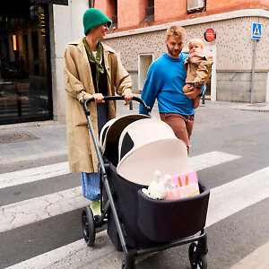 Сиденье вмещает двух детей весом до 22 кг каждый