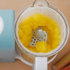 Beaba Babycook Express