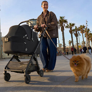 И уникальный функционал Anex Air-Q - возможность установки люльки для домашнего питомца