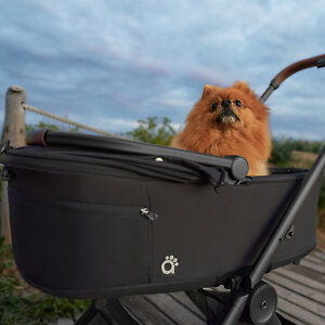 Anex Air-Q Pet Carrycot