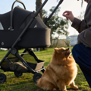 Anex Air-Q Pet Carrycot