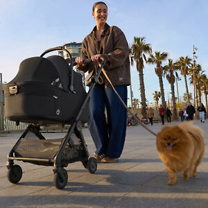 Anex Air-Q Pet Carrycot